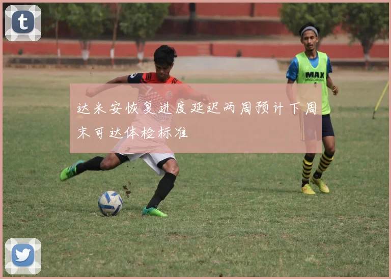 达米安恢复进度延迟两周预计下周末可达体检标准