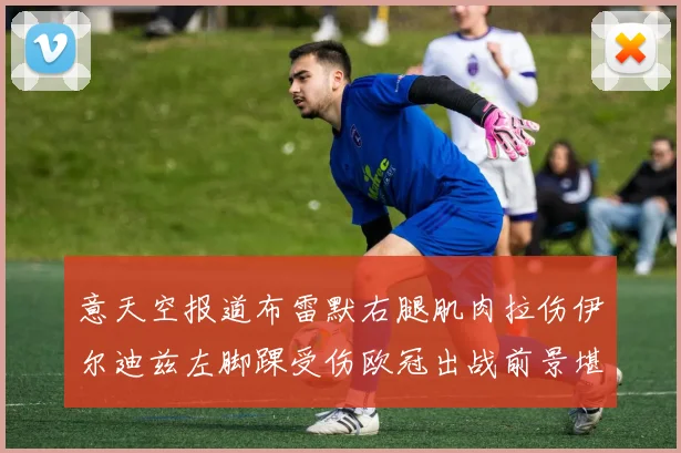 意天空报道布雷默右腿肌肉拉伤伊尔迪兹左脚踝受伤欧冠出战前景堪忧