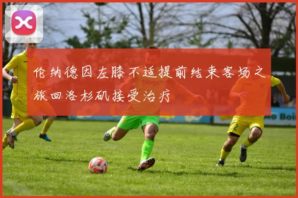 伦纳德因左膝不适提前结束客场之旅回洛杉矶接受治疗