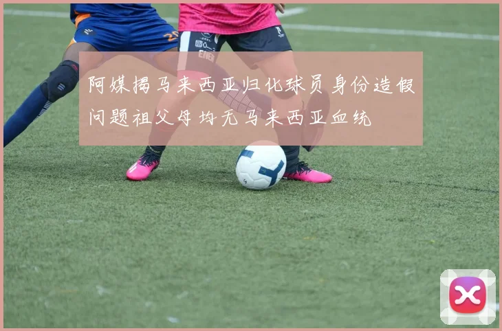 阿媒揭马来西亚归化球员身份造假问题祖父母均无马来西亚血统