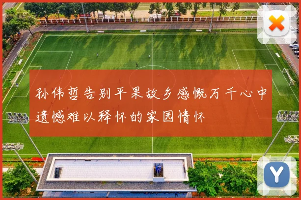 孙伟哲告别平果故乡感慨万千心中遗憾难以释怀的家园情怀