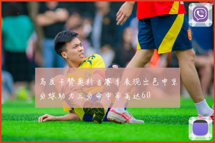 乌度卡赞奥科吉赛季表现出色申京分球助力三分命中率高达60