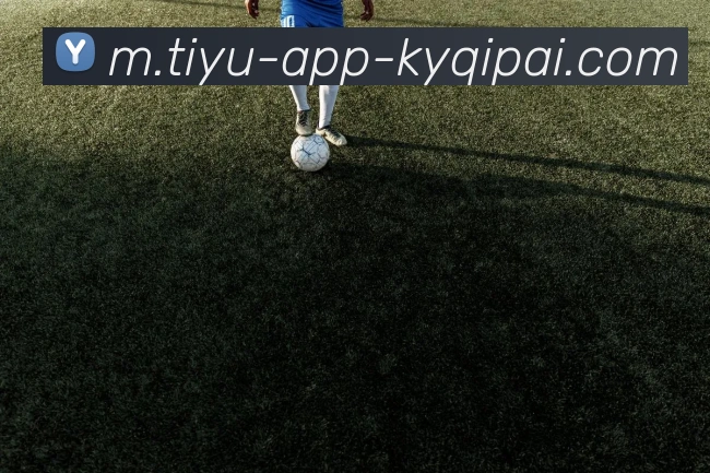 开元棋牌平台生态图