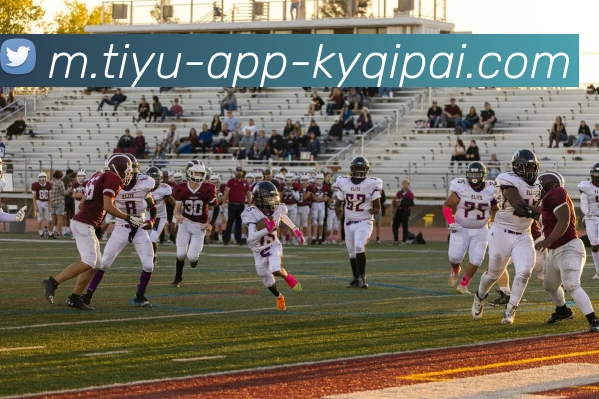 开元棋牌APP 封面图